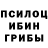 Псилоцибиновые грибы Psilocybine cubensis Louis Bronson