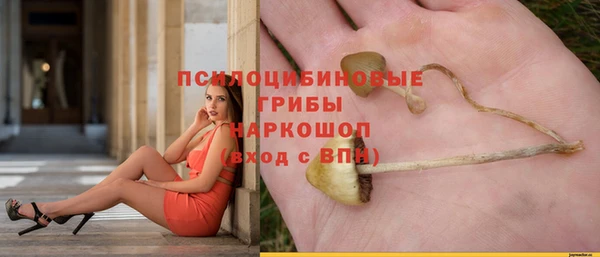 амф Алексин