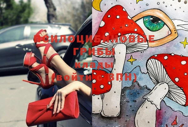 шишки Алзамай
