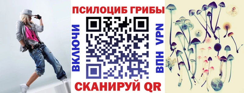 цена наркотик  нарко площадка какой сайт  Псилоцибиновые грибы мицелий  Катав-Ивановск 